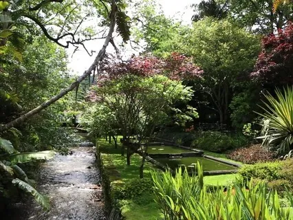 Simple Meditation For Beginners