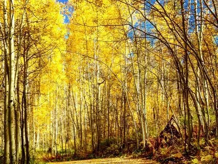 Beginner Mantra: So Hum