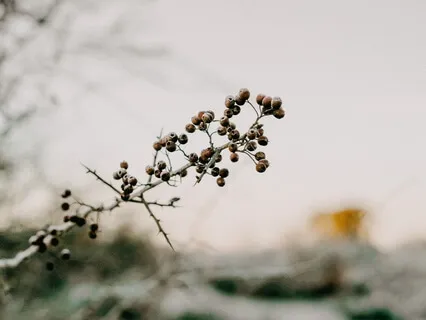 Beginner Meditators | 5-Minute Meditation