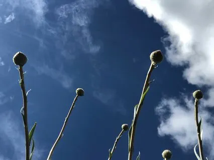 Beginner's Introduction to Meditation Posture & Breathing