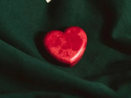 "Beginner's Meditation With In Depth Instruction"