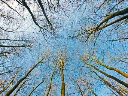 Beginner’s Mind: A Gentle Meditation For Seeing Anew