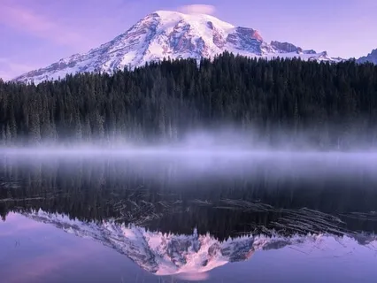 Beginner Series: Anchoring With The Breath