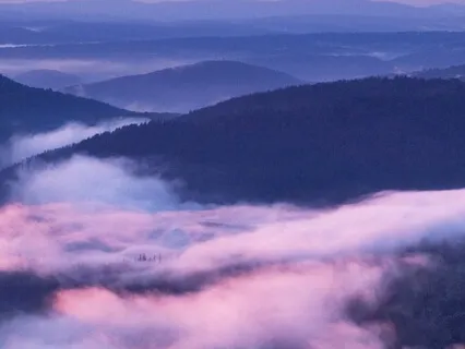 Beginner Series: Breath & Emotions