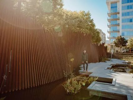 Beginner Series - Day 3: The Breath Is Special (Guided Med.)