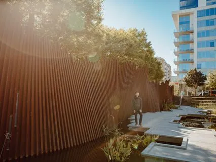 Beginner Series - Day 7: Mental Chatter (Guided Meditation)