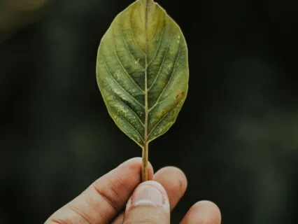 Beginner Visual Focus For Anxiety Recovery (With Instruction)