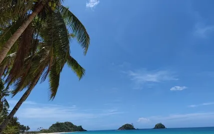 Beginner Yoga Nidra Practice