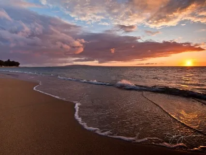 Beginner's Body Scan