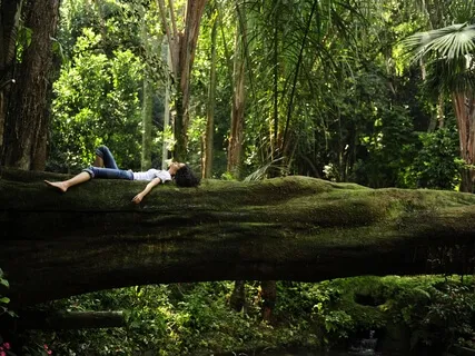 Beginner's Body Scan