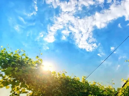 Beginner's Breath Meditation