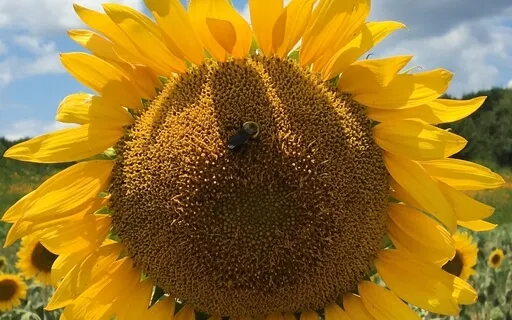 Beginners Breath Practice With Instructions 