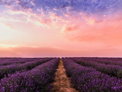 Beginners Gratitude Meditation