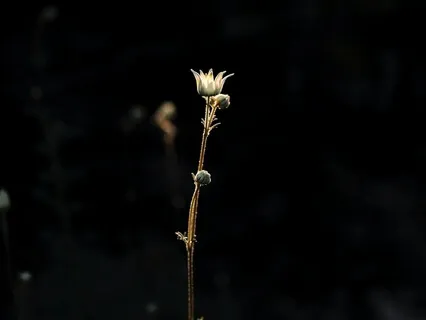 Beginners Guide To Meditation