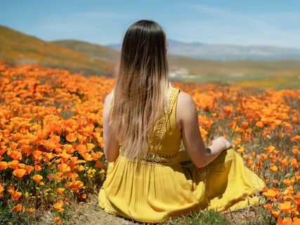 Beginner's Guide To The 3-Part Breath (For Calming The Mind)