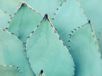 Beginner's Guided Breath Practice