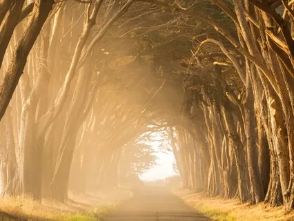 Beginners Relaxation