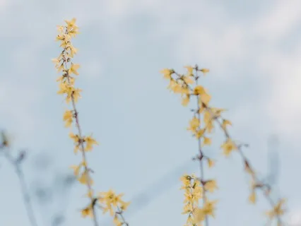 Beginners' Meditation | 5-Minute Meditation