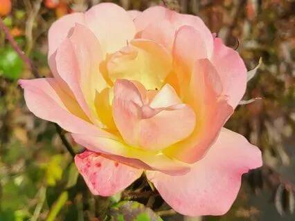 Beginners Meditation For Awareness