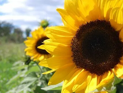 Beginners Meditation For Children