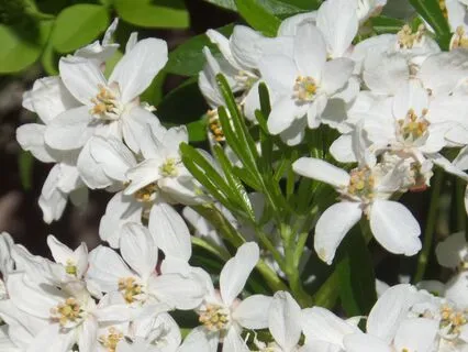 Beginner's Meditation (No Music)