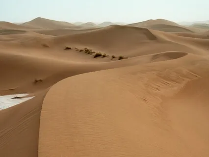 Beginners Meditation