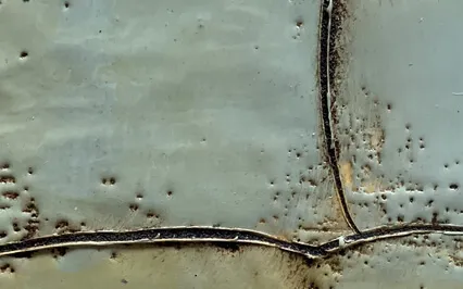 Beginner's Mind: Creative Meditation Put Into Practice I