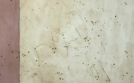 Beginner's Mind: Creative Meditation Put Into Practice V