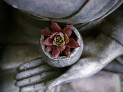 Beginner's Mind Exercise