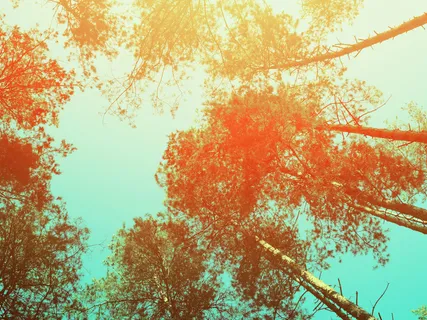 Beginners Mind Meditation: Change Your Perspective, Change Your World