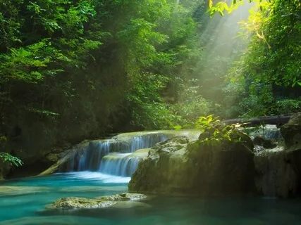 Beginners' Mindfulness: Noticing Experience