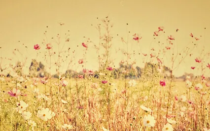 Beginners Mindfulness Of Breath To Build Focus