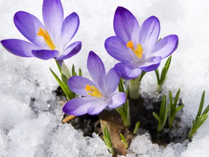 Beginners Secular Mindfulness Meditation