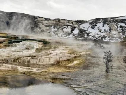 Beginners- Settling Into The Present