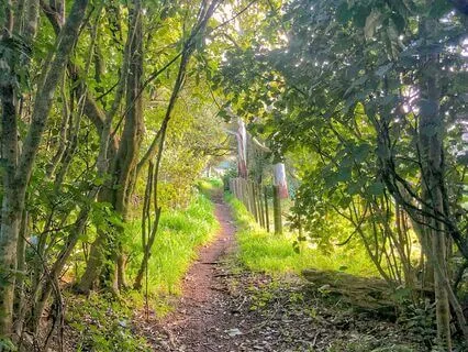 Beginners - What Is Meditation?