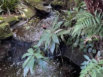 Beginners Yoga Nidra Shorter And Slower