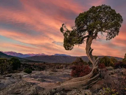 Beginning Again With Breath And Body