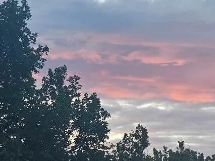 Beginning Meditation Instruction