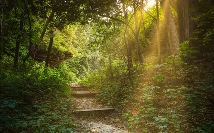 Beginning, Middle, And End Of Each Breath