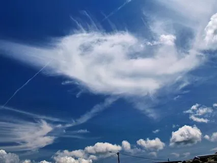 Beginning The Day With Compassion And Kindness