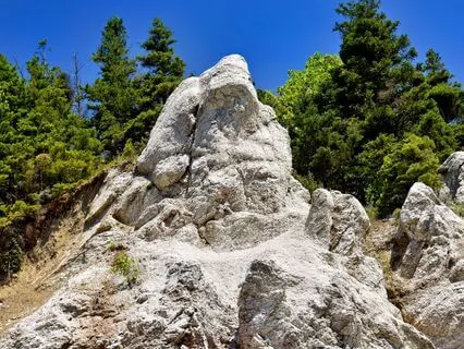 Beginning The Day With Courage To Speak Your Truth