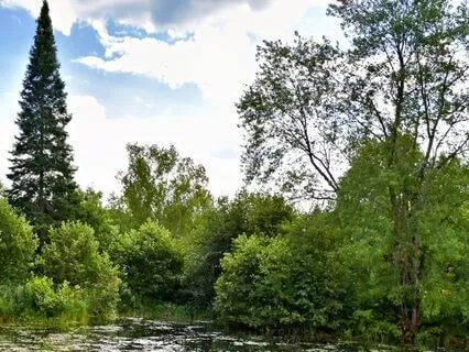 Beginning The Day With Presence And Grounding