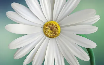 Beginning The Journey