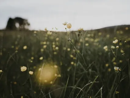 Beginning The New Year Fresh