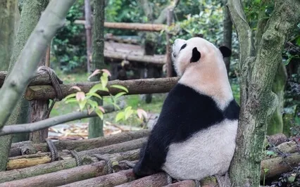 Beginning The New Year With Love