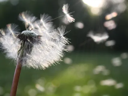 Beginning Tips For Classroom Teachers