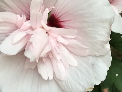 Beginning To Work With Your Reactive Mind