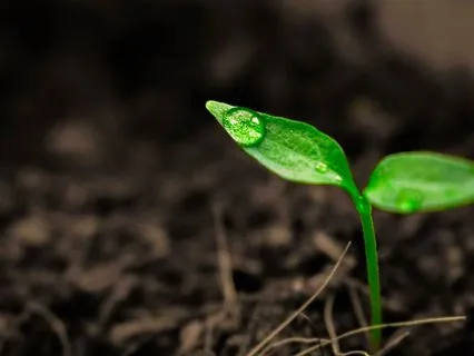 Beginning With Intention: A Meditation For New Starts