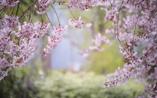 Behind The Garden, Under The Trees