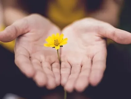 Being A Compassionate Mess (Extended)